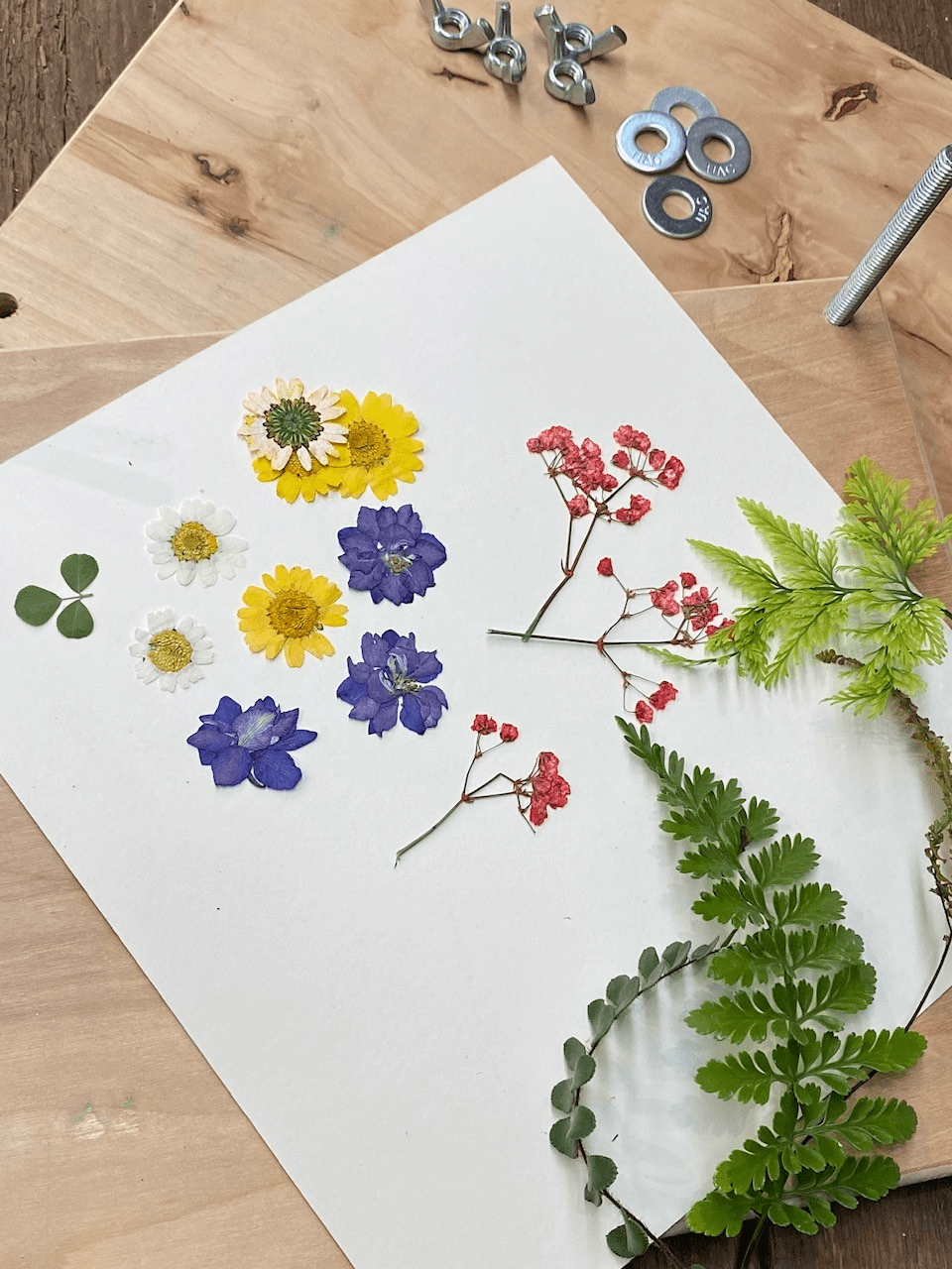 Pressing Fresh Flowers